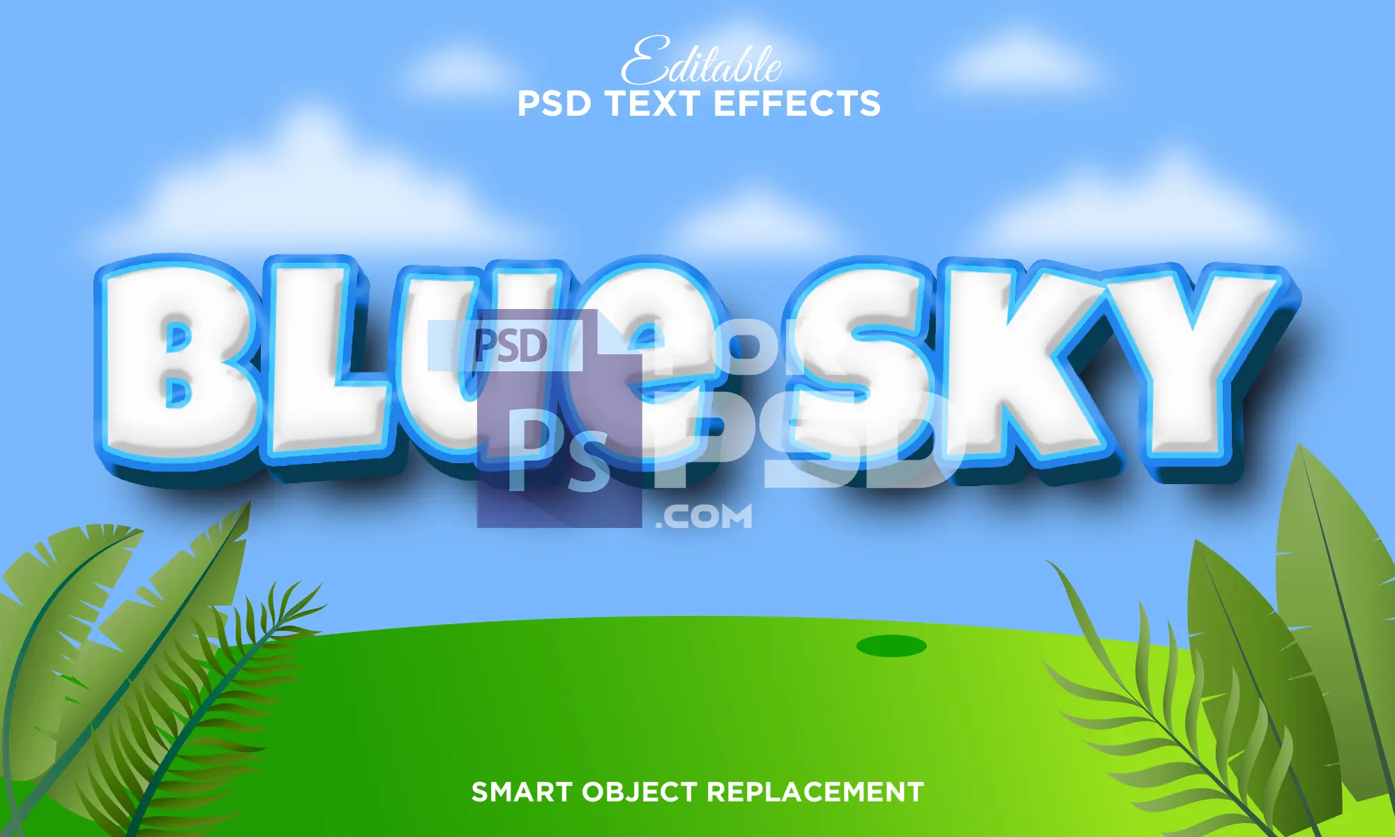Image Preview